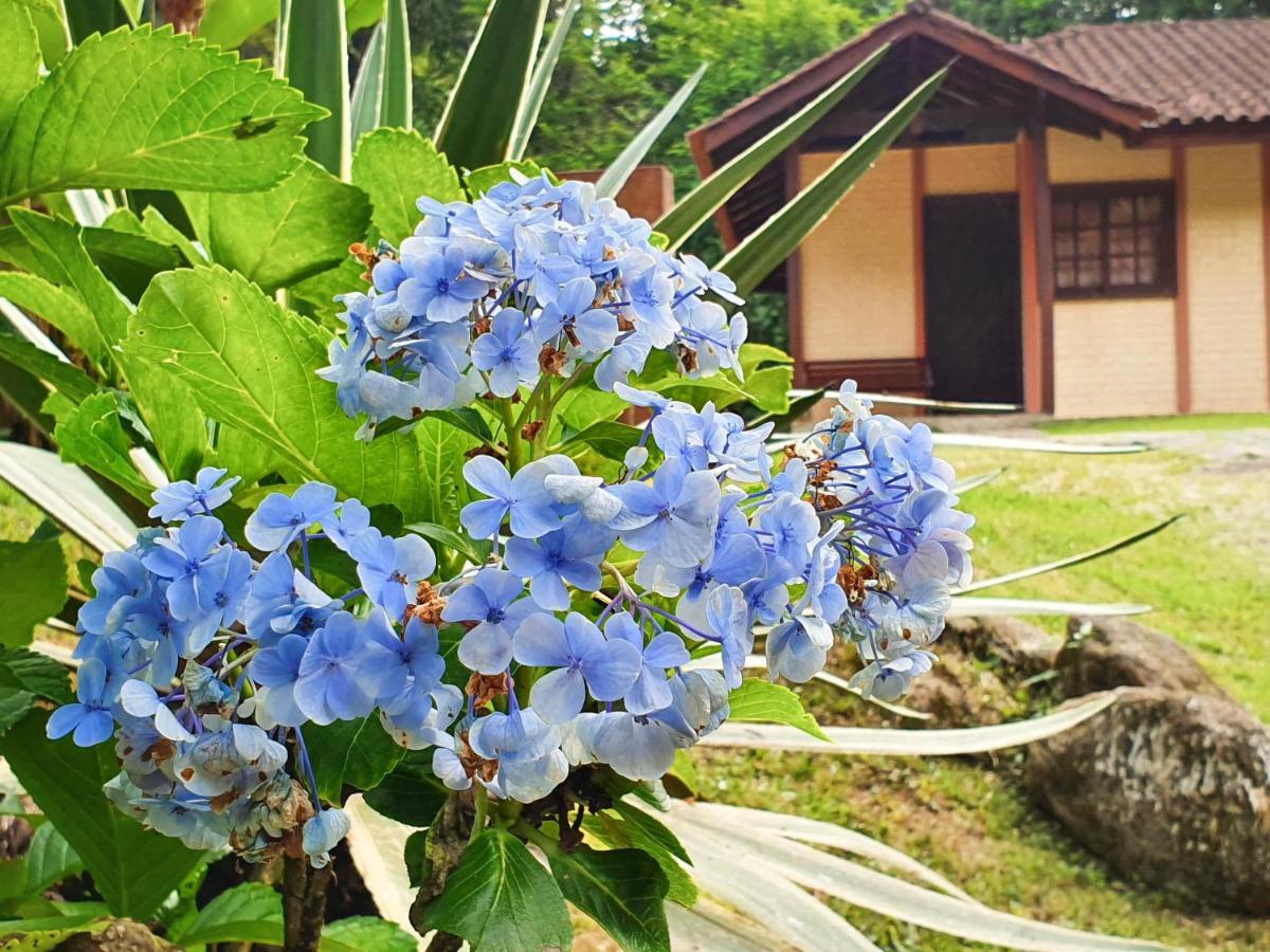 Pousada Canto Do Curio Paraty Dış mekan fotoğraf