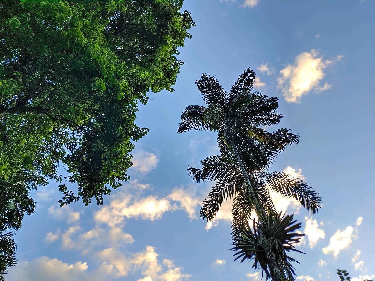 Pousada Canto Do Curio Paraty Dış mekan fotoğraf